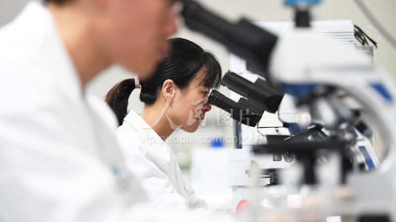 临床CRO服务费用清单：揭秘医药研发背后的成本构成