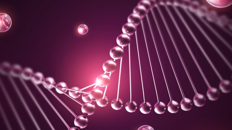 引物合成纯化：技术路线与成本考量