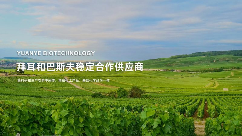 细胞培养厂家报价，如何选对性价比？**