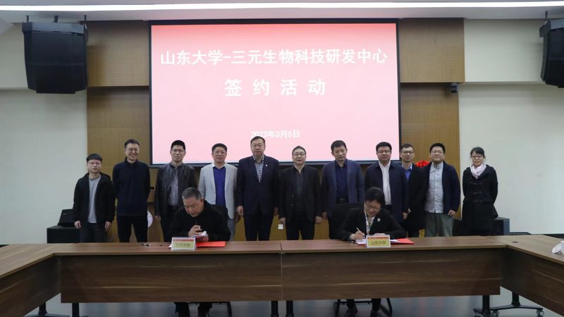 DNA连接酶活性参数对比：揭秘高效基因编辑的关键
